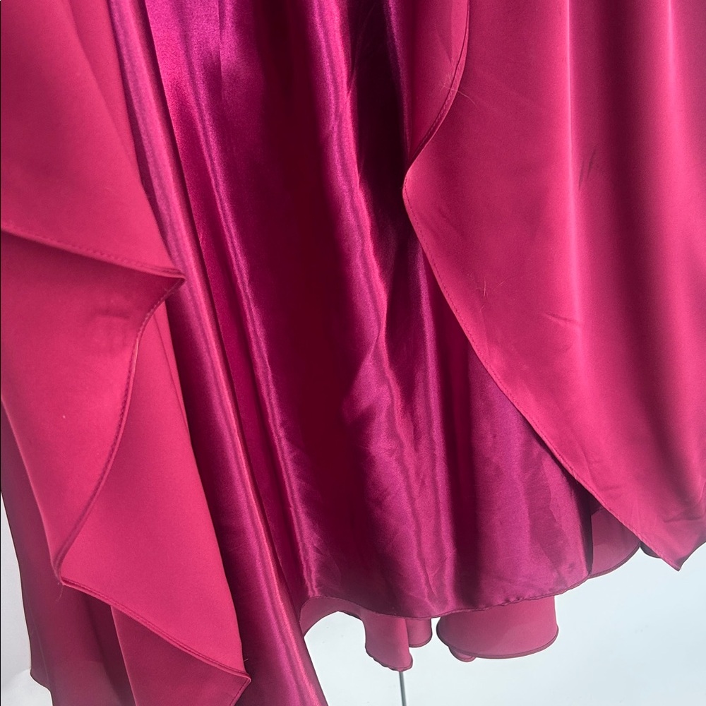 Ladivine Burgundy Gown - Picture 9 of 13